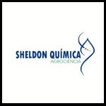 Sheldon